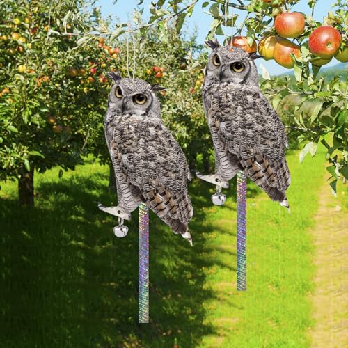 Fake Owl to Keep Pigeon Away, 4PCS Flat Plastic Owls - color: Grey Owl 4pcs