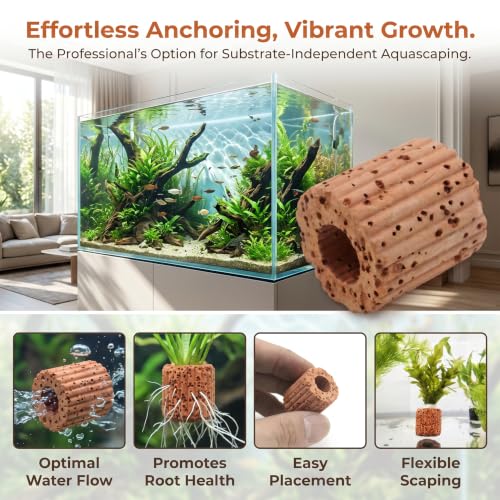 10-Pack 25mm Aquatic Plant Ring Base for Aquarium Pots