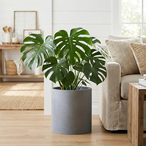 FaithLand 12 Inch Fiberstone Planter - Lightweight Modern Cylinder Plant Pot with Drainage Hole & Plug, Authentic Concrete Look, Gray - color: Gray, size: 12 Inch