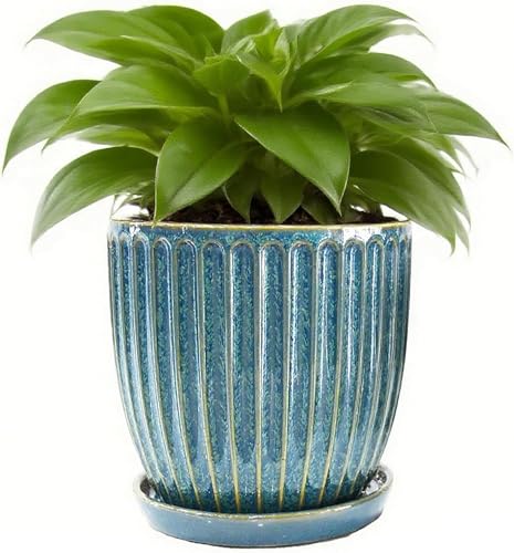 6-Inch Ceramic Plant Pots with Drainage Hole, Modern Flower Pots - size: 6 Inch