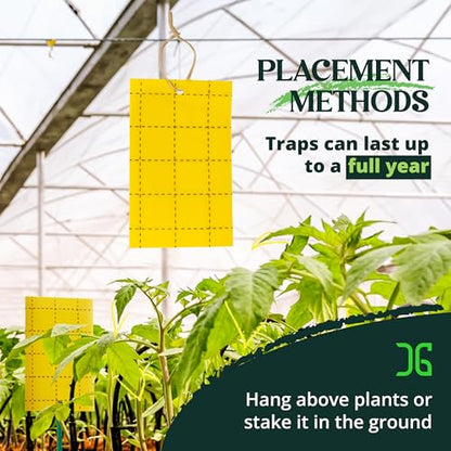Catchmaster GRO Yellow Regular Double Sided Sticky Traps 72PK, Adhesive Bug & Fruit Fly Trap, Pest Control for Home, Farm, Garden, Hydroponics & Greenhouse, Protect Live Plants Indoor & Outdoor - size: 72 Pack - Yellow