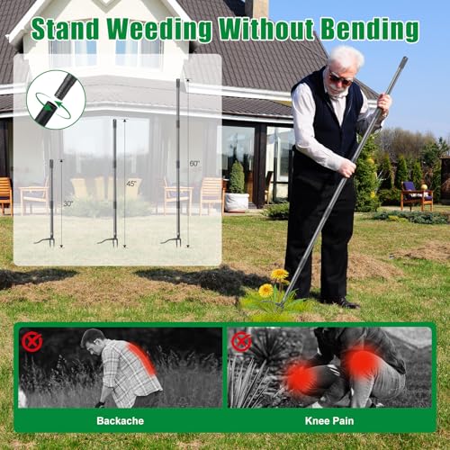 Lilyvane Weed Puller Tool, Stand Up Manual Weeder, Heavy Duty Garden Weeding Tool with 60 inch Long Handle,4 Claw Steel Head, Uprooting Dandelion Removal Gardening Tools for Lawn Grass Grabber