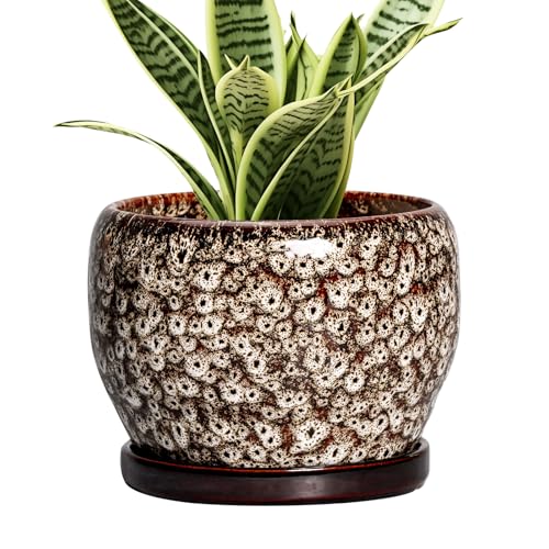 SQOWL Ceramic Plant Pots - 6 Inch Ceramic Planter for Indoor Outdoor, Small Flower Pots with Drainage Hole and Saucer, Decorative Round Planter, Home Office Decor, Plant Lover Gifts, White - color: Leopard White, size: 6 Inch