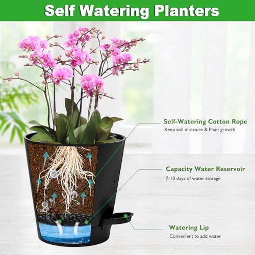 Vanslogreen 6 Inch Orchid Pots with Holes, Self Watering Plant Pots, 2 Pack - color: Black