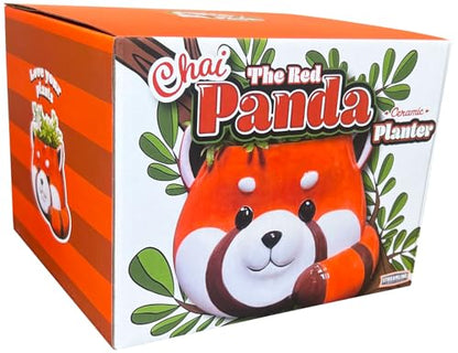 Streamline Imagined Red Panda Ceramic Planter, Decorative Plant Pot, 5.75 x 5 x 4 inches - color: Red