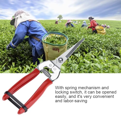 Stainless Steel Straight Pruning Shears for Rose Gardening Plant Trimming and Fruit Harvesting Durable Ergonomic Hand Pruners Garden Yard Tool
