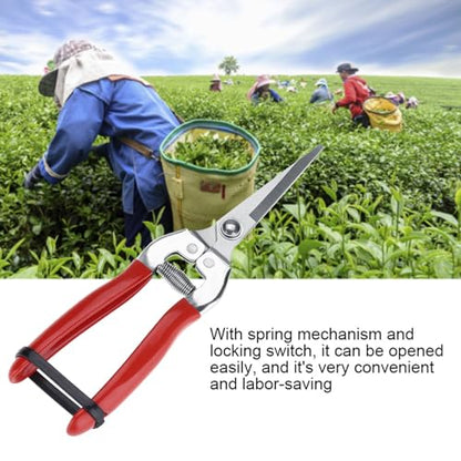 Stainless Steel Straight Pruning Shears for Rose Gardening Plant Trimming and Fruit Harvesting Durable Ergonomic Hand Pruners Garden Yard Tool