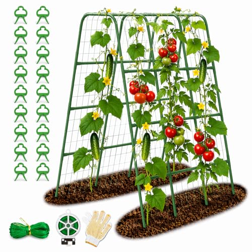 63"/5FT Heavy Duty Cucumber Trellis for Raised Beds, 16mm Metal Garden Trellis with Netting & Clips, Tall Vegetable Trellis for Tomatoes, Beans, Peas & Climbing Plants