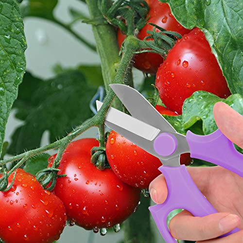 Housolution Flower Scissors, Premium Steel Garden Pruning Shears, Purple - color: Purple, size: 1 Pack
