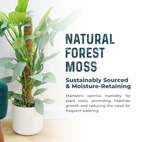 2pcs 42'' Real Forest Moss Pole Monstera Plant Support -Moisture Retaining - size: 2-Pack (42 in)