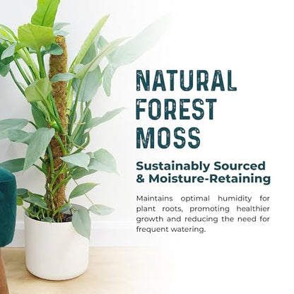 2pcs 42'' Real Forest Moss Pole Monstera Plant Support -Moisture Retaining - size: 2-Pack (42 in)
