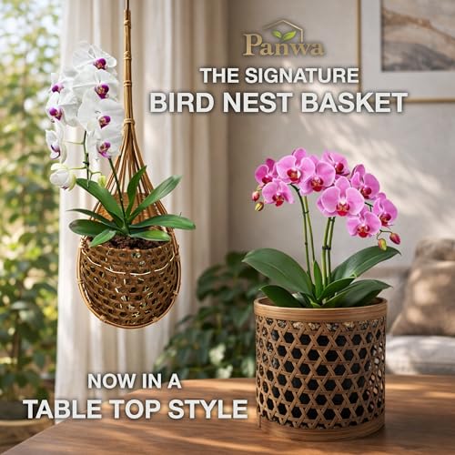 Handcrafted Bamboo Tabletop Decorative Plant Pot Covers - Multi Set of 3 – for Indoor Plants, Orchids, Succulents – Natural Handmade Thai Bamboo Plant Basket