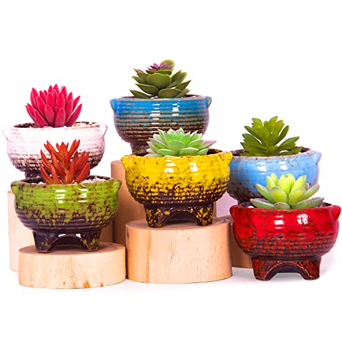 Succulent Pots, 4 Inch Small Plant Pots with Drainage Tray Set of 6 - color: Colorful - 4 Inch