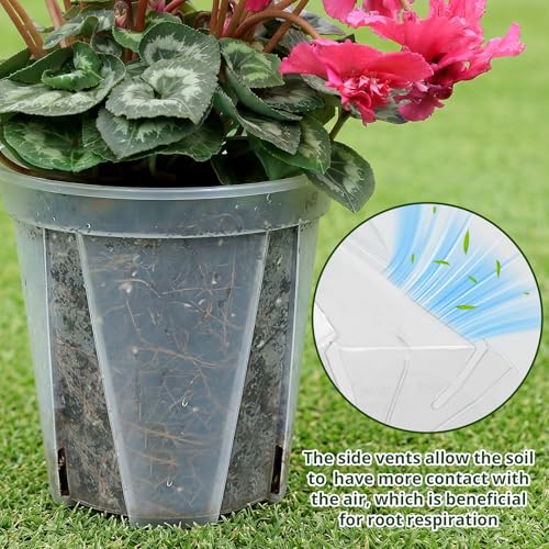6/8/10/12 Inch Large Clear Nursery Deep Pots with Drainage Hole 12 Pack, Deep Plant Pots with Drainage for Seedling Flower Vegetable, Ideal for Hyacinths, Amaryllis, Reusable Deep Pots
