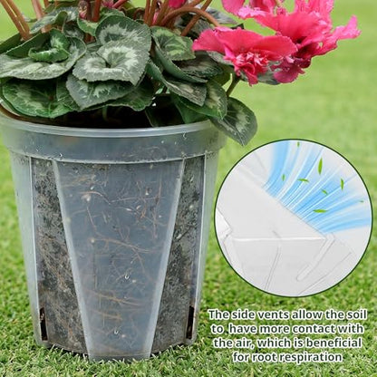 6/8/10/12 Inch Large Clear Nursery Deep Pots with Drainage Hole 12 Pack, Deep Plant Pots with Drainage for Seedling Flower Vegetable, Ideal for Hyacinths, Amaryllis, Reusable Deep Pots