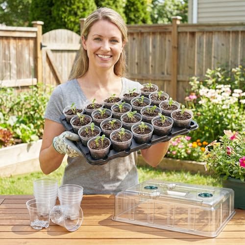 homenote 2 Pack Seed Starter Trays with Grow Lights and 40 3 Inch Pots - size: 3 Inch, style: 2 Pack Tray+Pots+Dome+Grow Light