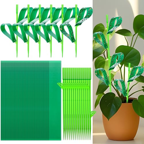100 Pcs Gnat Sticky Traps for Plants, Sticky Traps for Gnats with 20 Stakes to Control, Aphids, Plant Bug, Mosquito Bits and Whiteflies(Green) - color: Green