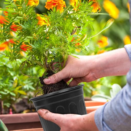 OUPSAUI 2/3/5 Gallon Pots for Plants,Flexible Gallon Plastic Nursery Pots with Drainage Holes, Plastic Pots for Outdoor Plants (5Gal-12pcs) - size: 5Gal-12pcs
