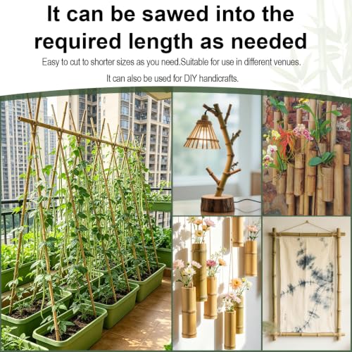 Natural Bamboo Plant Stakes (8ft-10PCS) - size: 8ft-10PCS