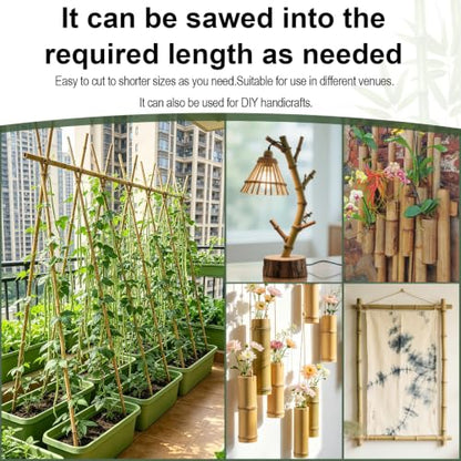 Natural Bamboo Plant Stakes (8ft-10PCS) - size: 8ft-10PCS