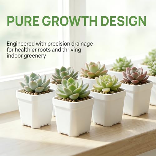 24Pcs 3"Square Plastic Plant Pots,White Nursery Pots with Drainage Hole,Seedling Nursery Transplanting Planter Container for Plants,Succulent,Garden,Flower,Home,Office,Balcony Decor,Indoor,Outdoor