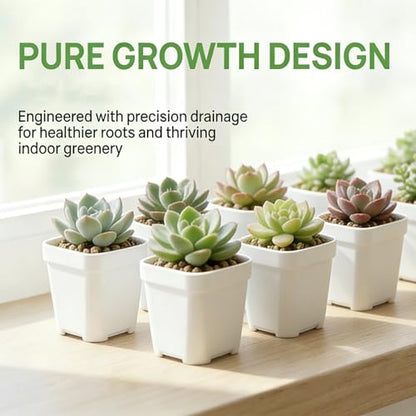 24Pcs 3"Square Plastic Plant Pots,White Nursery Pots with Drainage Hole,Seedling Nursery Transplanting Planter Container for Plants,Succulent,Garden,Flower,Home,Office,Balcony Decor,Indoor,Outdoor