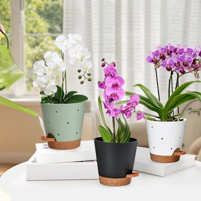 Orchid Pot, 6 Inch Orchid Pots with Holes, 3 Pack Self Watering Plant Pots - color: Multicolor