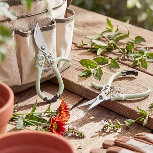 Plant Scissors with Lock 2 Pack, 6'' Bypass Hand Pruner & 6.7" Precision Garden Scissors Rust Resistant Hand Sprout Pruning Shears Gardening Tools for Herbs, Plants