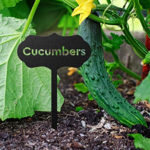 RealSteel Metal Seed & Plant Markers – Elegant Indoor & Outdoor Garden Stakes – Durable Herb, Vegetable & Fruit Plant Labels for Pots, Raised Beds & Greenhouse – Farmhouse Garden Gift - Asparagus