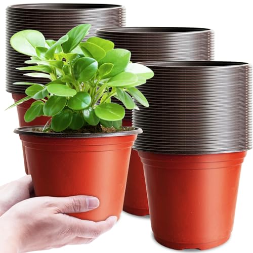 Baaxxango 100 Pcs Plant Nursery Pots,6 Inch Thicker Plastic Seedling Pots with Holes,Seed Starting Pot Flower Plant Container for Succulents,Seedlings,Cuttings,Transplanting - size: 100 Pcs 6 Inch