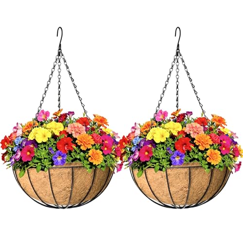 2 Pack 12 inch Hanging Baskets Planter for Plants Vegetables Flowers Outdoor Black Round Wire Plant Holder with Coco Fiber Liners Garden Balcony Patio Deck Porch Indoor Hanging Baskets - color: Watermelon, size: 2 Pack x 12in