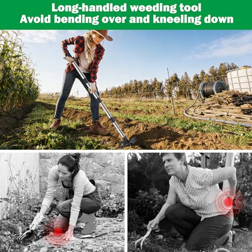 Weed Puller Tool with Long Handle,2-in-1 Heavy-Duty Weed Rake-60 Adjustable,Handle Hoe Garden Tools for Planting,Loosening Soil,Patio,Yard, Garden and Lawn