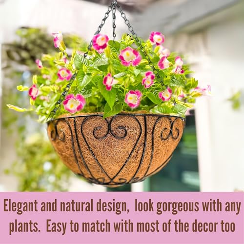 LaLaGreen Coco Hanging Baskets (10 in, 2 Pack) Black Metal Wire Flower Pots - size: 10" (25 cm) x 2 Pack