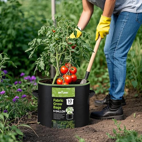 BN-LINK 10-Pack 5 Gallon Grow Bags, Heavy Duty Aeration Fabric Pots with Handles, Thickened Nonwoven Plant Bags for Vegetables, Flowers, Fruits - size: 5 Gallon 10 Pack