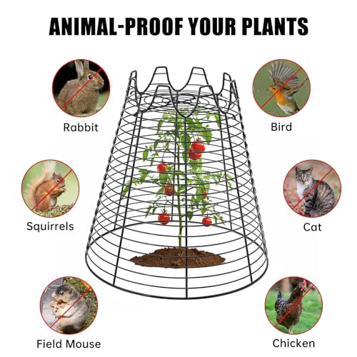 6 Pcs 11.6"×11.6" Garden Cloches for Plants, Sturdy Metal Plant Cages to Keep Animals Out, Reusable Wire Plant Covers, Black Plant Protector from Squirrels, Rabbits, Birds - size: 6 pack