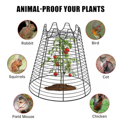 6 Pcs 11.6"×11.6" Garden Cloches for Plants, Sturdy Metal Plant Cages to Keep Animals Out, Reusable Wire Plant Covers, Black Plant Protector from Squirrels, Rabbits, Birds - size: 6 pack