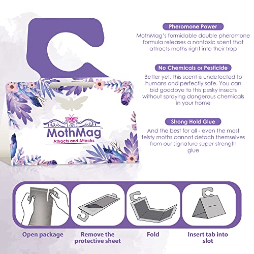 MothMag Clothes Moth Traps (6 Pack) – Pheromone Glue Traps for Wardrobes, Closets, Carpets & Fabrics – Trap for Wool, Cashmere & Silk - color: Purple