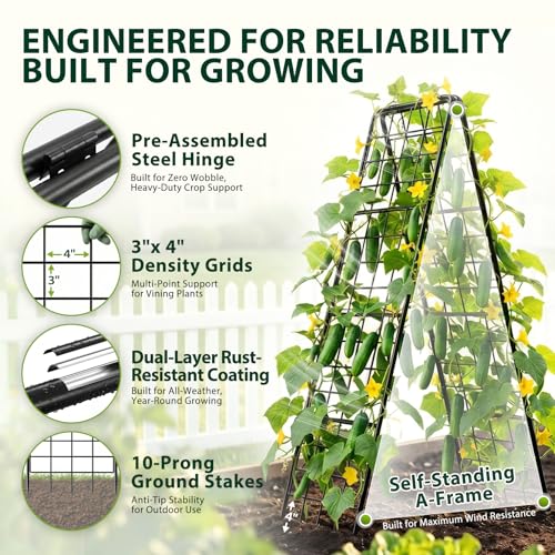 Heavy Duty 50"x17" Adjustable A-Frame Trellis for Climbing Plants Outdoor, Metal Rust-Proof Garden Trellis, Dense Grid Climbing Frame Trellis for Raised Beds, Cucumber, Tomatoes Outdoor (1 Pack)