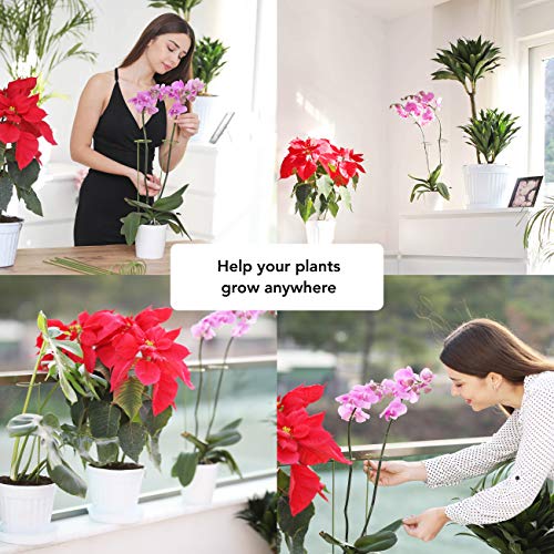 2 Pack Plant Stakes | Plant Supports for Tall Plants and Flowers | Green Garden Stakes | Help Your Flowers Grow | Tomato Cages for Garden | Plant Sticks for Orchid, Amaryllis, Peony, Peppers and More