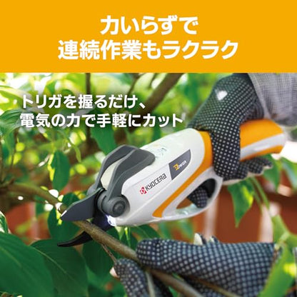 RYOBI rechargeable pruning shears BSH-120 import JPN