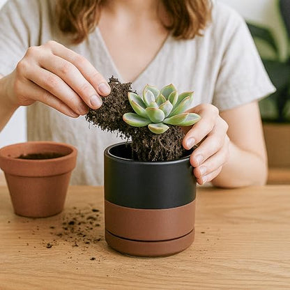 D'vine Dev 2-Pack Ceramic Pots with Saucers, Black/Tan, 3.5 in, 94-V-A-7 - color: Black/Speckled Tan, size: 3.5 Inch