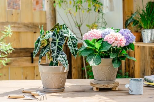 Melphoe Plant Pots Indoor with Drainage & Saucer, 2Pack 7 inch Flower Pots Outdoor Planters for Indoor Plants Garden Home Decor Cactus Succulent, Rigid Plastic (Imitation-Terracotta) Vine-Embossed - color: Undecorated Pottery Color, size: 7 inch