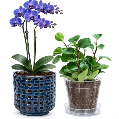 D'vine Dev Orchid Pot, Clear Pot & Saucer, Midnight Blue, 6.7 in, 28-A-Y-2 - color: Midnight Blue, size: 6.7"