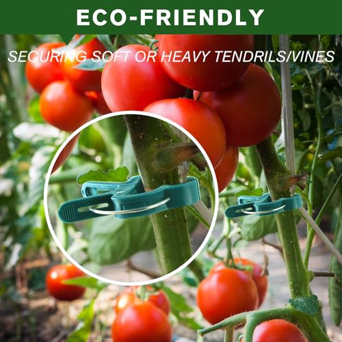 Plant Clips for Climbing Plants, Garden Support for Tomatoes & Vine - size: 60 Small + 60 Big
