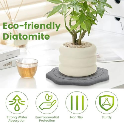 Plant Saucer for Indoors, 2 Packs 8 12 inch, Diatomaceous Earth Pot Saucers No Holes, Instant Dry Plant Drainage Trays for Pots, Dark Gray - size: 8+12inch