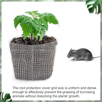 uxcell 5Pcs 4-5 Gallon Root Guard Basket, 14"x14"(35x35cm) 304 Stainless Steel Mesh Wire Baskets Plant Root Protector for Trees Bulbs Flowers Root Protection, Silver - size: 14"x14"