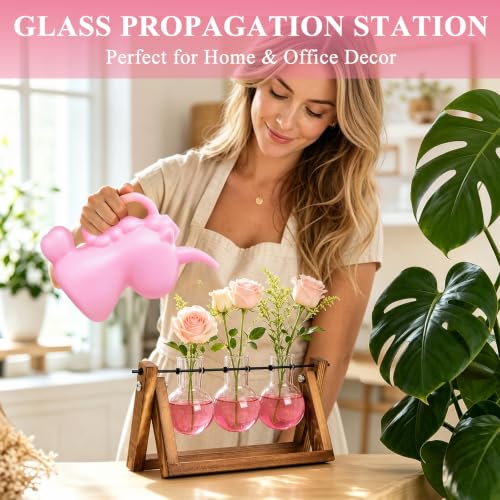 XXXFLOWER Plant Terrarium Kit with Wooden Stand 3 Gradient Pink Bulb Vases - color: Pink