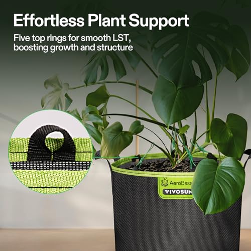 VIVOSUN 6-Pack 5-Gallon AeroBase Grow Bags, Durable Mesh Fabric Plant Container with Breathable Base and Sturdy Handles, Black - size: 5 Gallons (Pack of 2)