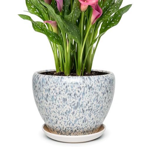 9.5 Inch Ceramic Plant Pot with Drainage Hole Mesh Net,Modern Gardening Pots for Indoor Plants with Saucer, Spotted Blue - color: Spotted Blue, size: 9.5 Inch