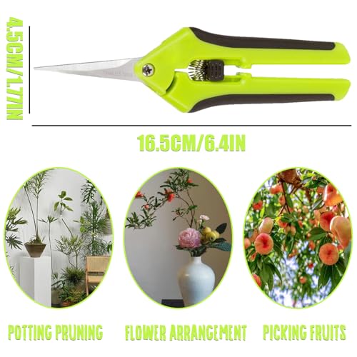 Green Micro Tip Garden Shears for Precise Trimming - Lightweight, Stainless Steel Hand Pruners, Flower Trimmers, and Bonsai Snippers
